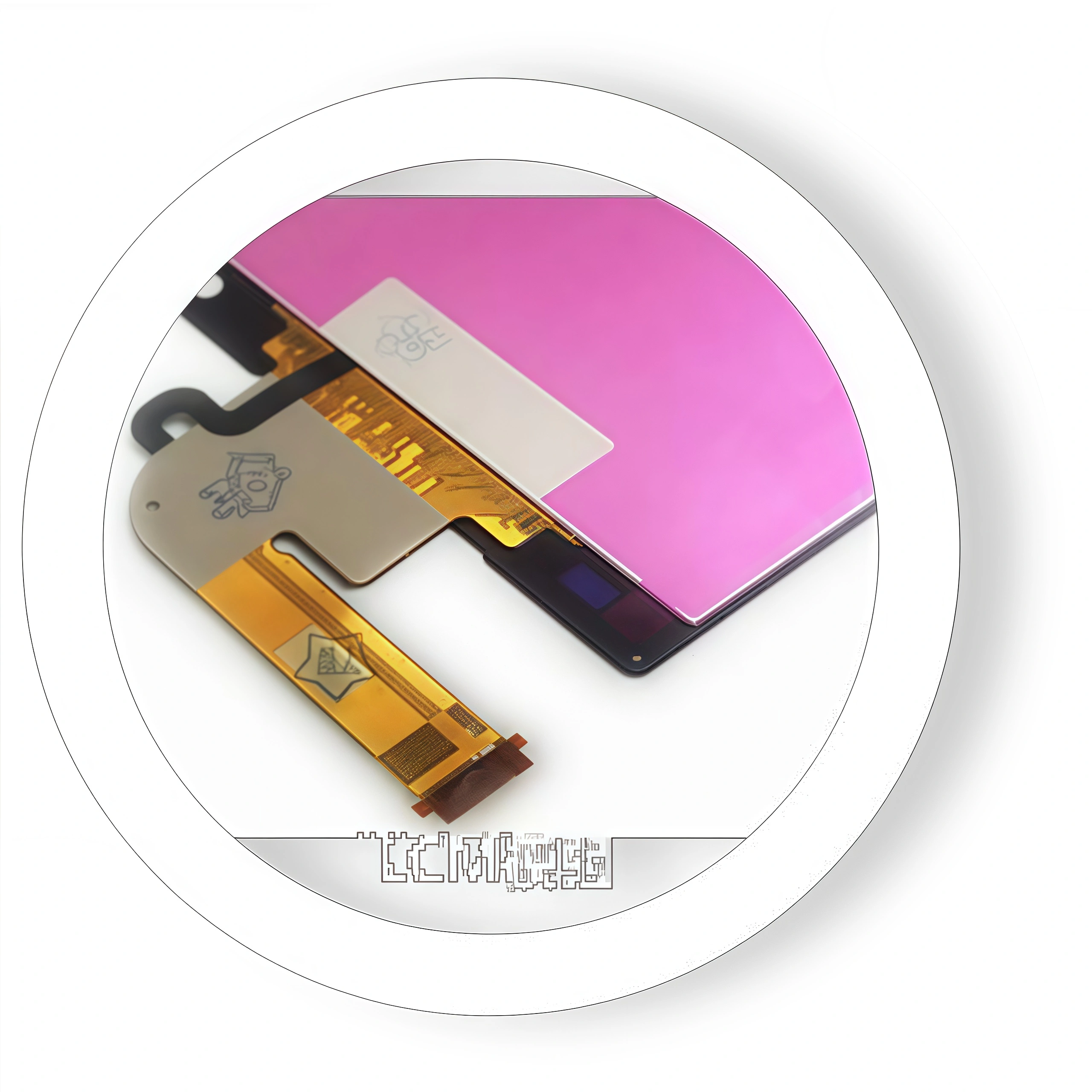 Display Module